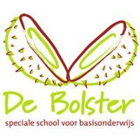 logo Bolster-6927175e8caf3