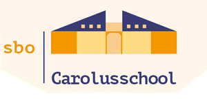 Logo Carolus-692716d575188